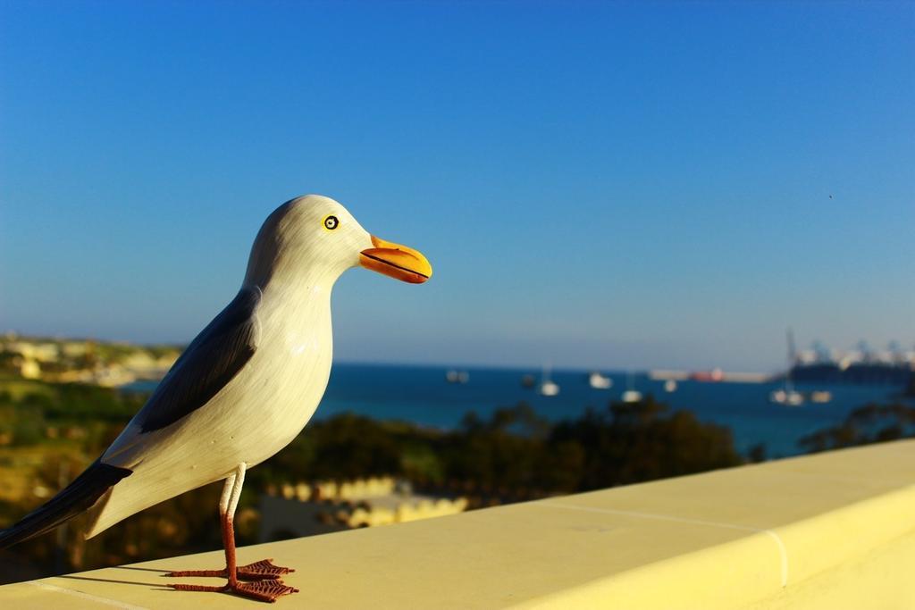 Appartement Seagull Penthouse Marsaxlokk Extérieur photo